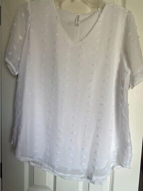 Zenana Outfitters White V-Neck Swiss Dot Short Sleeve Blouse